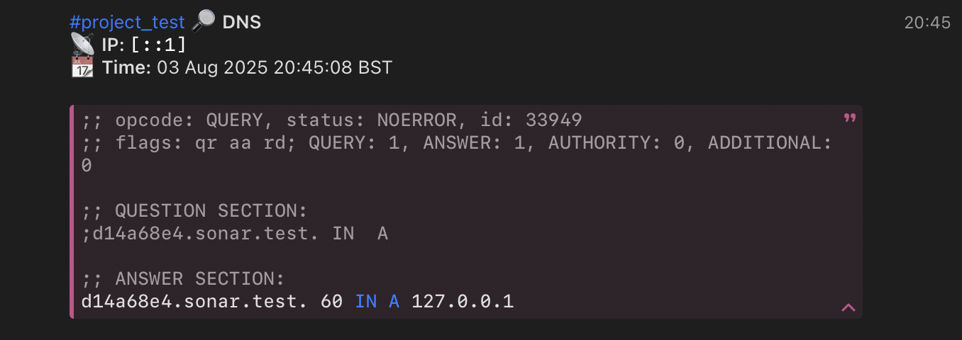 DNS notification example
