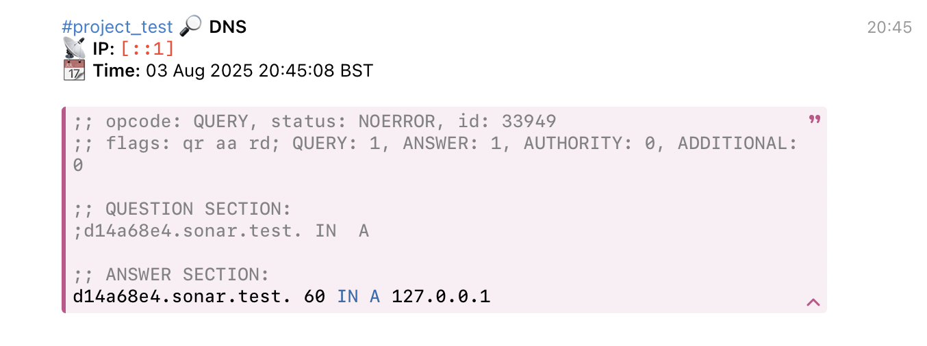 DNS notification example