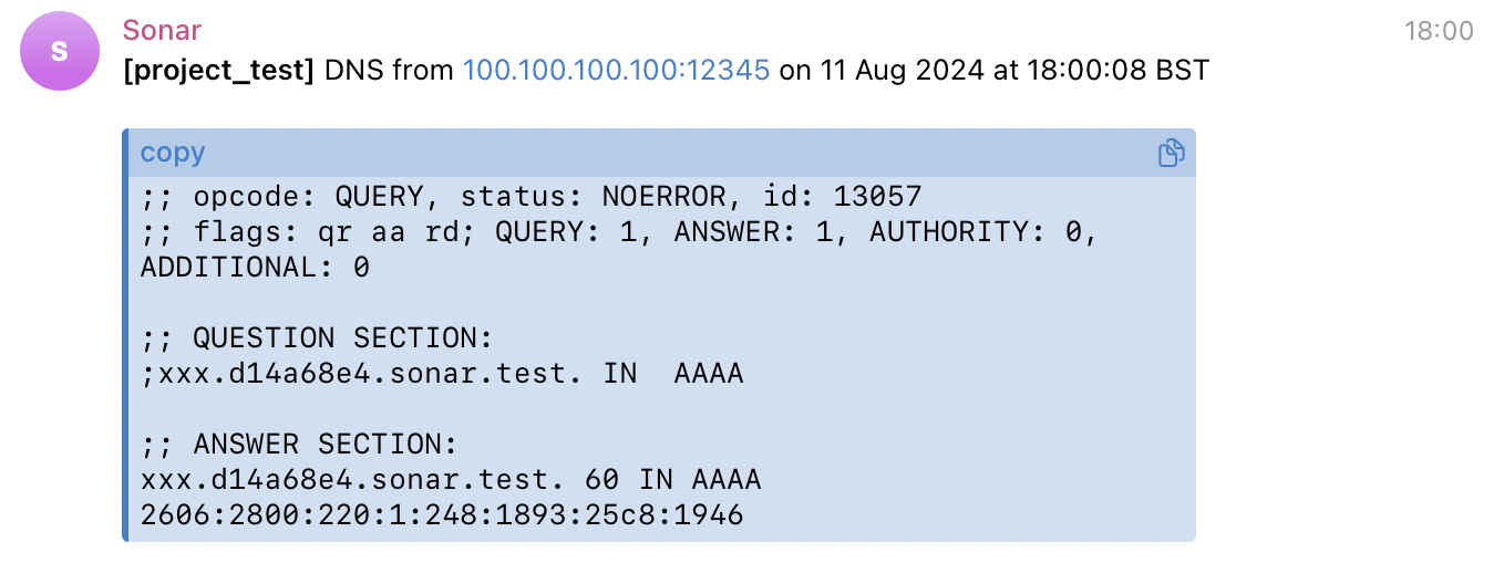 DNS test alert wildcard